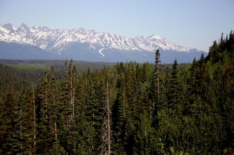 062104 Hyder Cassiar to Skagway Ak (10080)